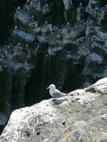 Halbinsel Snaefellsnes