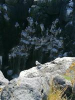 Halbinsel Snaefellsnes