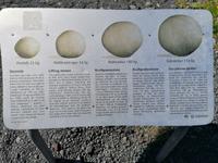 Halbinsel Snaefellsnes