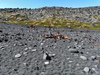 Halbinsel Snaefellsnes