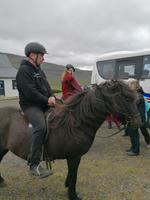 Pferdehof Lytingsstadir