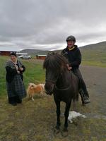 Pferdehof Lytingsstadir