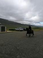 Pferdehof Lytingsstadir