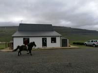 Pferdehof Lytingsstadir