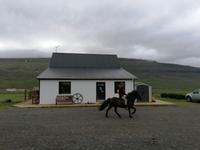 Pferdehof Lytingsstadir