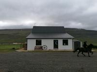 Pferdehof Lytingsstadir