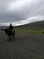 Pferdehof Lytingsstadir