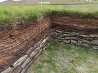 Pferdehof Lytingsstadir