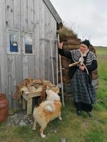 Pferdehof Lytingsstadir