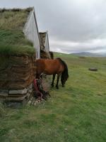 Pferdehof Lytingsstadir