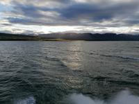 Walsafari in Akureyri