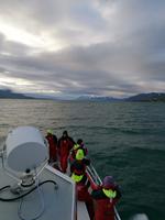 Walsafari in Akureyri