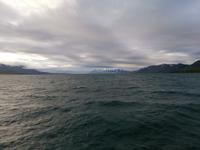 Walsafari in Akureyri