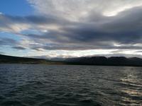 Walsafari in Akureyri