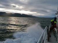 Walsafari in Akureyri