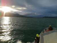 Walsafari in Akureyri