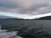 Walsafari in Akureyri