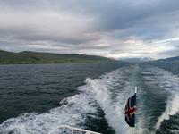 Walsafari in Akureyri