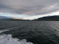 Walsafari in Akureyri