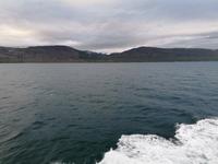 Walsafari in Akureyri