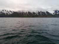 Walsafari in Akureyri