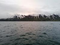 Walsafari in Akureyri