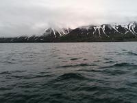 Walsafari in Akureyri