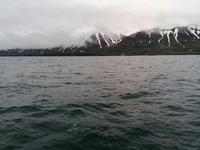 Walsafari in Akureyri