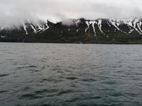 Walsafari in Akureyri