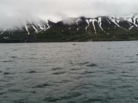 Walsafari in Akureyri