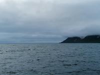 Walsafari in Akureyri