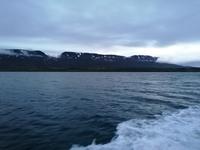 Walsafari in Akureyri