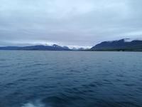 Walsafari in Akureyri