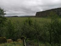 Felsenschlucht Asbyrgi