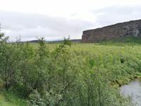 Felsenschlucht Asbyrgi