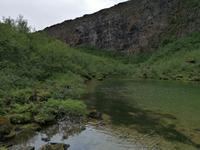 Felsenschlucht Asbyrgi