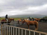 Reitausflug in Akureyri