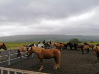 Reitausflug in Akureyri