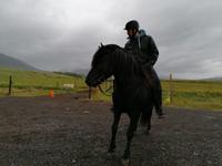 Reitausflug in Akureyri