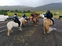 Reitausflug in Akureyri