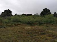 Labyrinth in Dimmuborgir