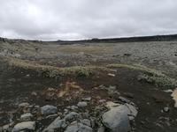 Dettifoss