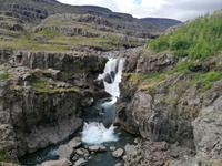 Fahrt entlang der Ostfjorde
