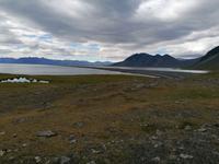 Fahrt entlang der Ostfjorde