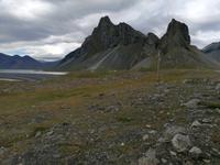 Fahrt entlang der Ostfjorde