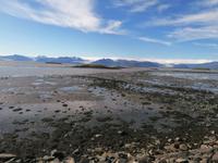 Fahrt entlang der Ostfjorde