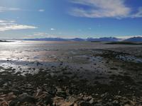 Fahrt entlang der Ostfjorde