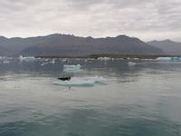 Gletschlagune Jökulsarlon