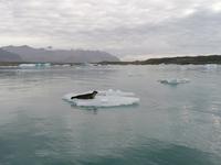 Gletschlagune Jökulsarlon