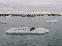 Gletschlagune Jökulsarlon